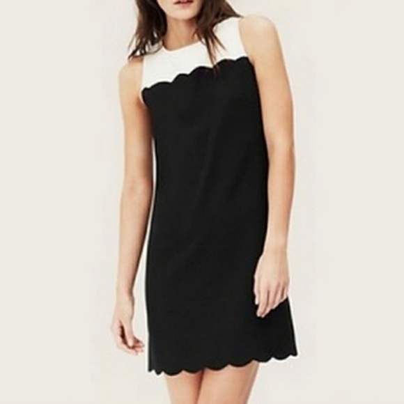 LOFT Dresses & Skirts - ANN TAYLOR LOFT SCALLOPED SHEATH
DRESS Size 16